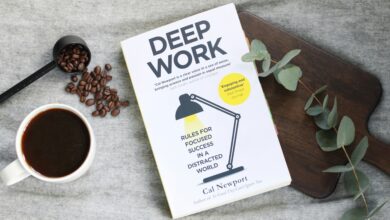 Deep Work par Cal Newport Résumé complet du livre Travail en profondeur